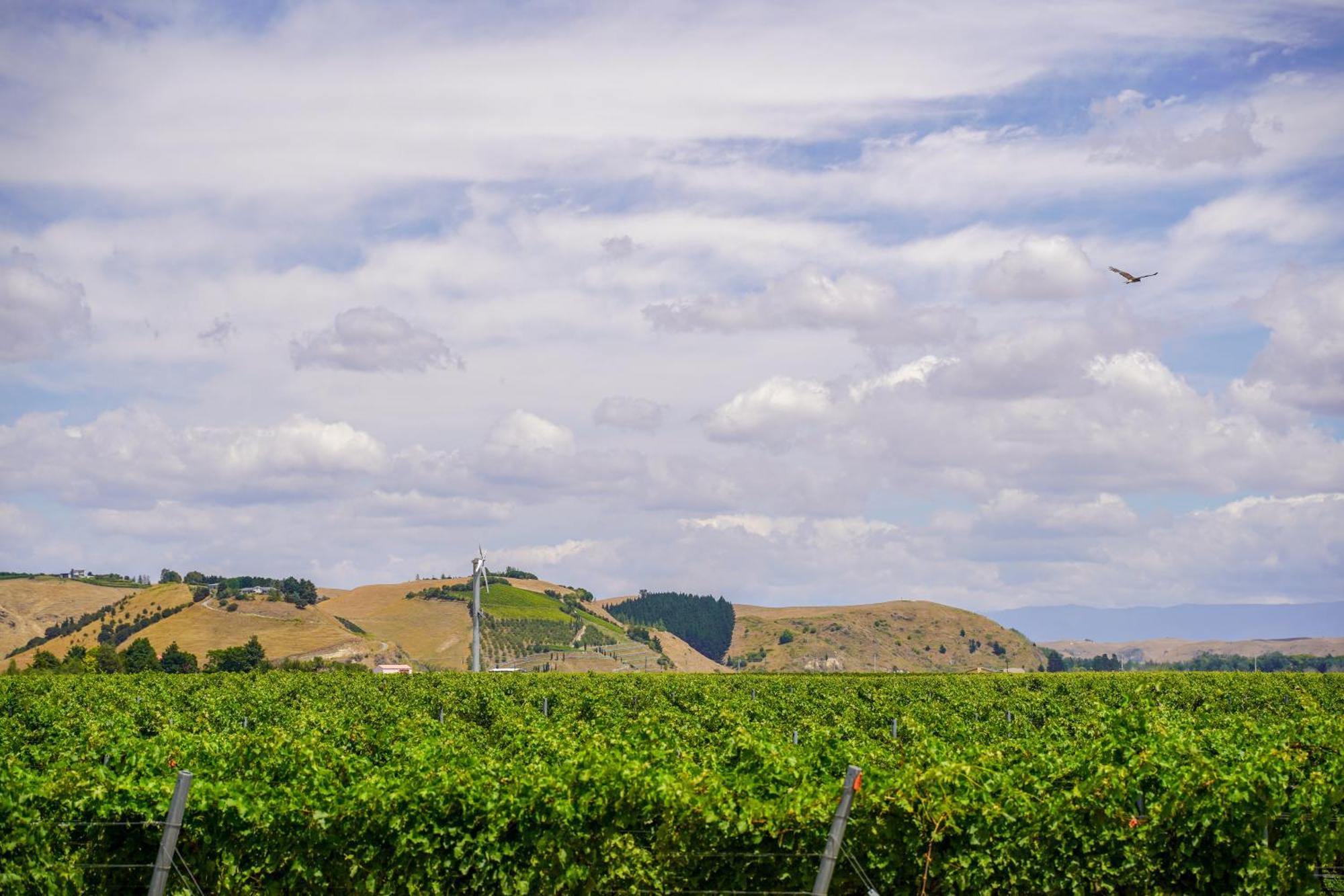 Syrah Suite Unison Vineyard Fernhill Экстерьер фото